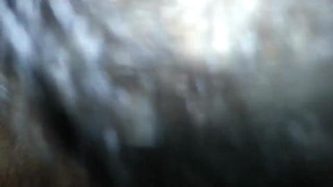 24264
